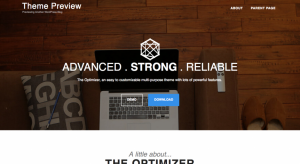 optimizer