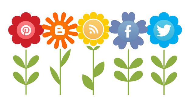 social media