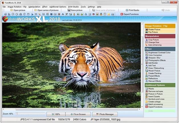 tiger